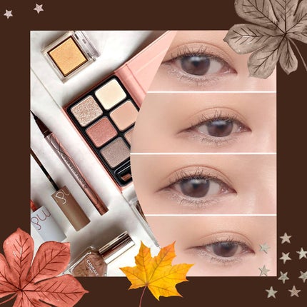 ブラウンメイクセット  LIPSフェスタ Autumn 2022/LIPS/メイクアップキットを使ったクチコミ(1枚目)