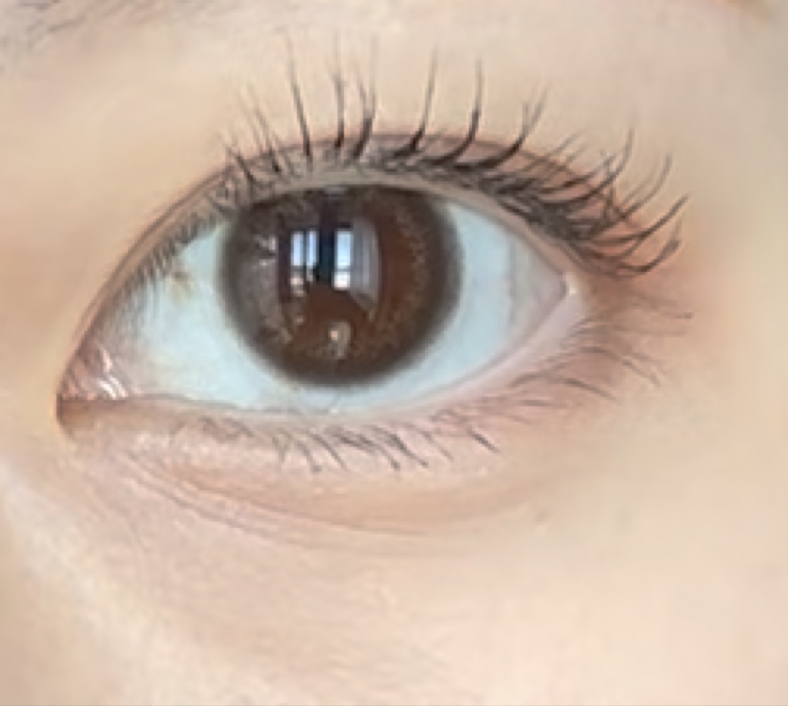 Kaica 1day/Kaica/ワンデー（１DAY）カラコンの動画クチコミ2つ目