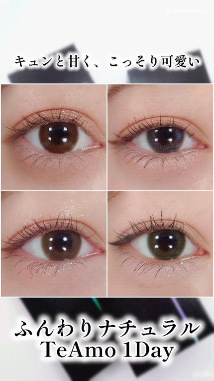 TeAmo 1DAY/TeAmo/ワンデー(1DAY)カラコンの人気ショート動画