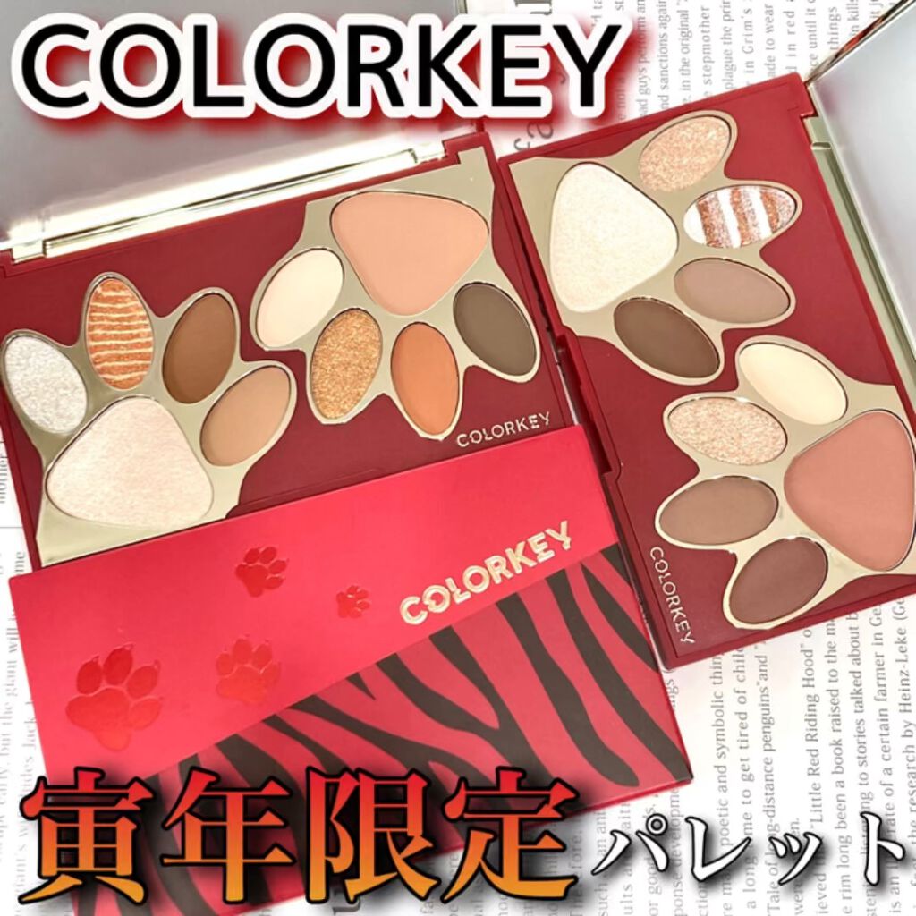 トラ十色アイシャドウパレット/COLORKEY/アイシャドウパレットを使ったクチコミ（1枚目）