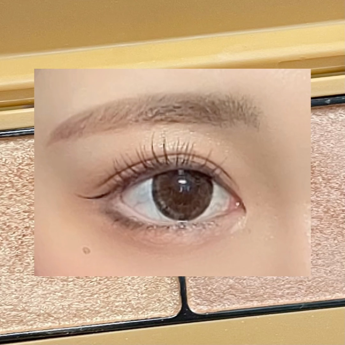 プロ シングル シャドウ/CLIO/単色アイシャドウを使ったクチコミ（2枚目）