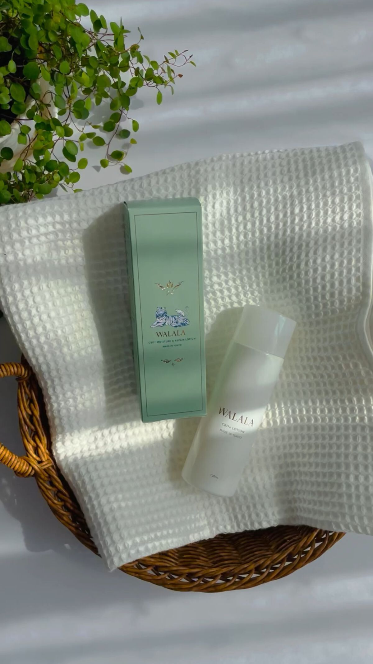 CBD モイストリペアローション/WALALA/化粧水の動画クチコミ3つ目