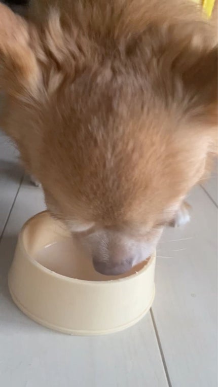 レ キャトル オンブル ツイード/CHANEL/アイシャドウパレットを使ったクチコミ(8枚目)