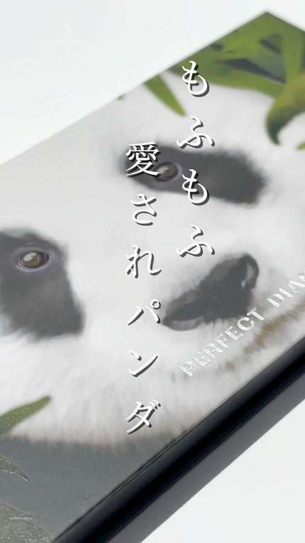 エクスプローラ12色 動物アイシャドウパレット/PERFECT DIARY/アイシャドウパレットの人気ショート動画