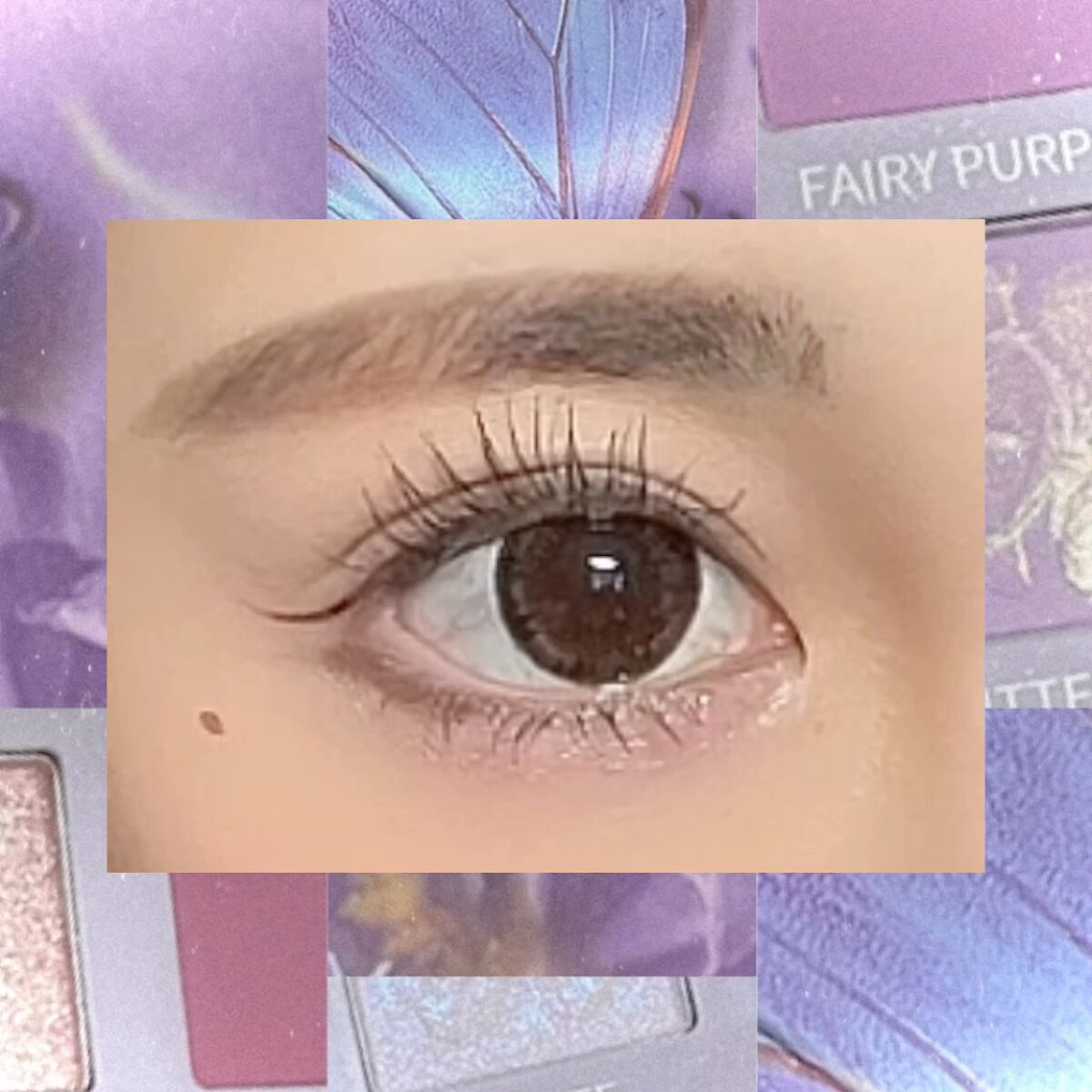 エクスプローラ12色 動物アイシャドウパレット/PERFECT DIARY/アイシャドウパレットを使ったクチコミ（2枚目）