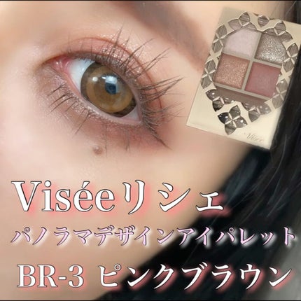 パノラマデザイン アイパレット/Visée/アイシャドウパレットの人気ショート動画