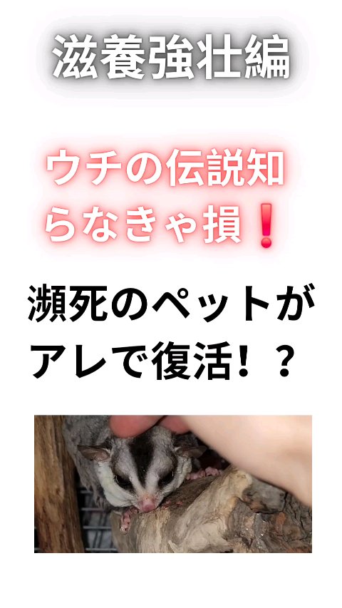 純粋ハチミツ/ISDG 医食同源ドットコム/完全栄養食を使ったクチコミ（1枚目）