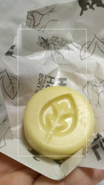 チャリティポット コイン/ラッシュ/ボディローションの人気ショート動画