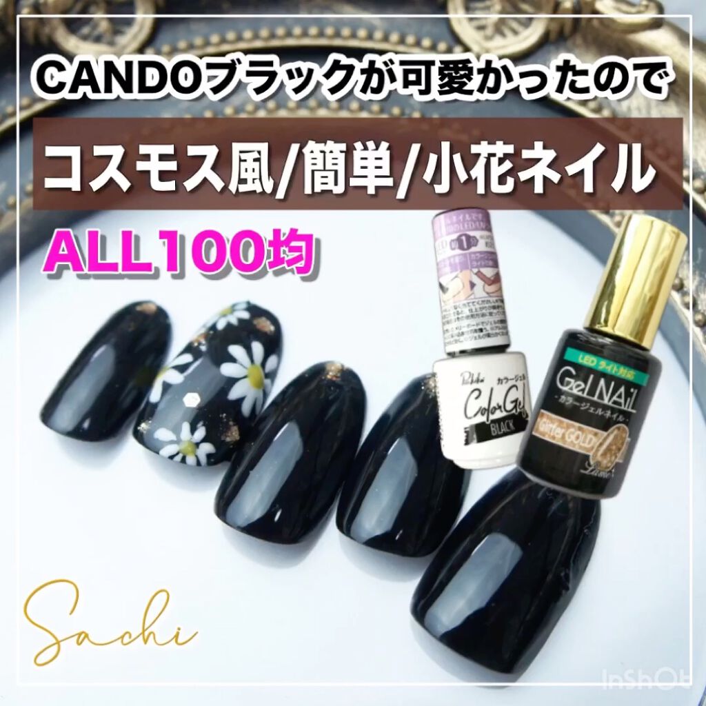 パル カラージェル/キャンドゥ/ジェルネイルを使ったクチコミ（1枚目）