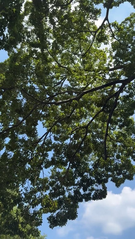 ウルトラライト透明UVクリーム/COSRX/日焼け止めクリームの人気ショート動画