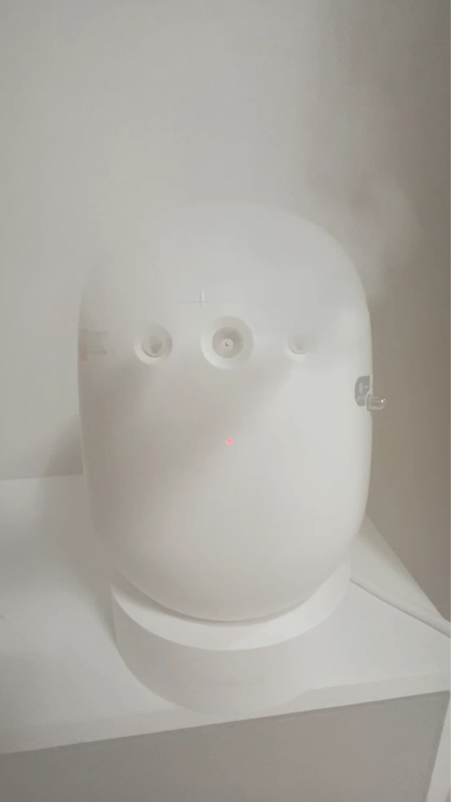 フェイシャルブースティングスパ/Makeon/美顔器・マッサージを使ったクチコミ（1枚目）