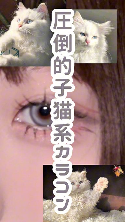 BLESH/myfipn/ワンデー(1DAY)カラコンの人気ショート動画