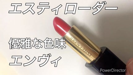 ピュア カラー エンヴィ リップスティック/ESTEE LAUDER/口紅を使ったクチコミ(1枚目)