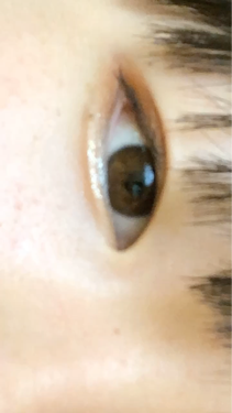 プロ シングル シャドウ/CLIO/単色アイシャドウを使ったクチコミ（1枚目）