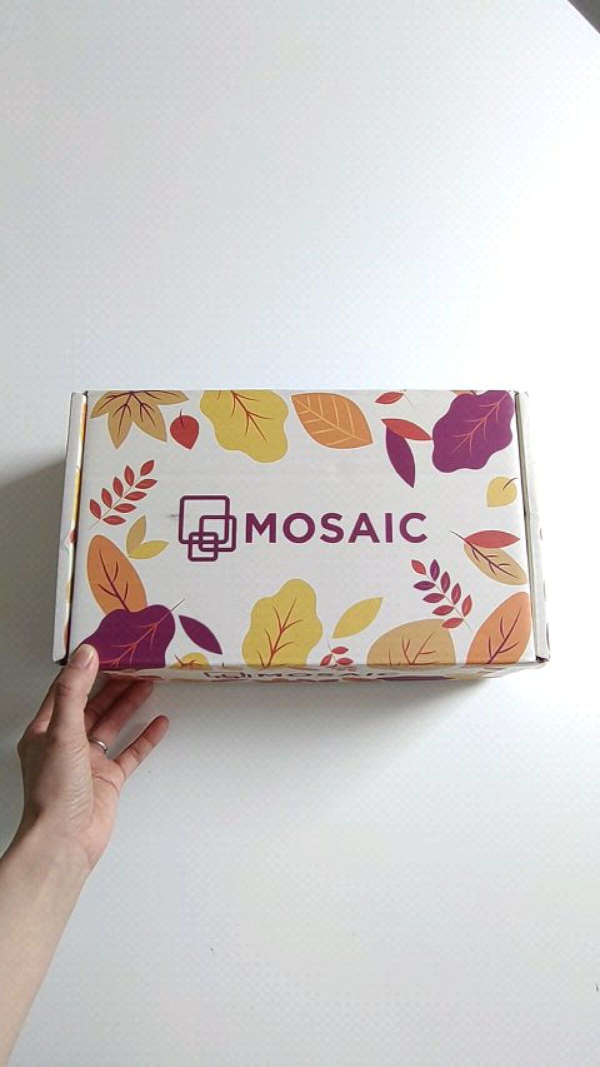 MOSAIC ボックス/MOSAIC/その他キットセットを使ったクチコミ（1枚目）