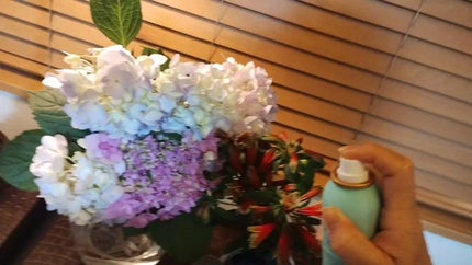 を使ったクチコミ(2枚目)