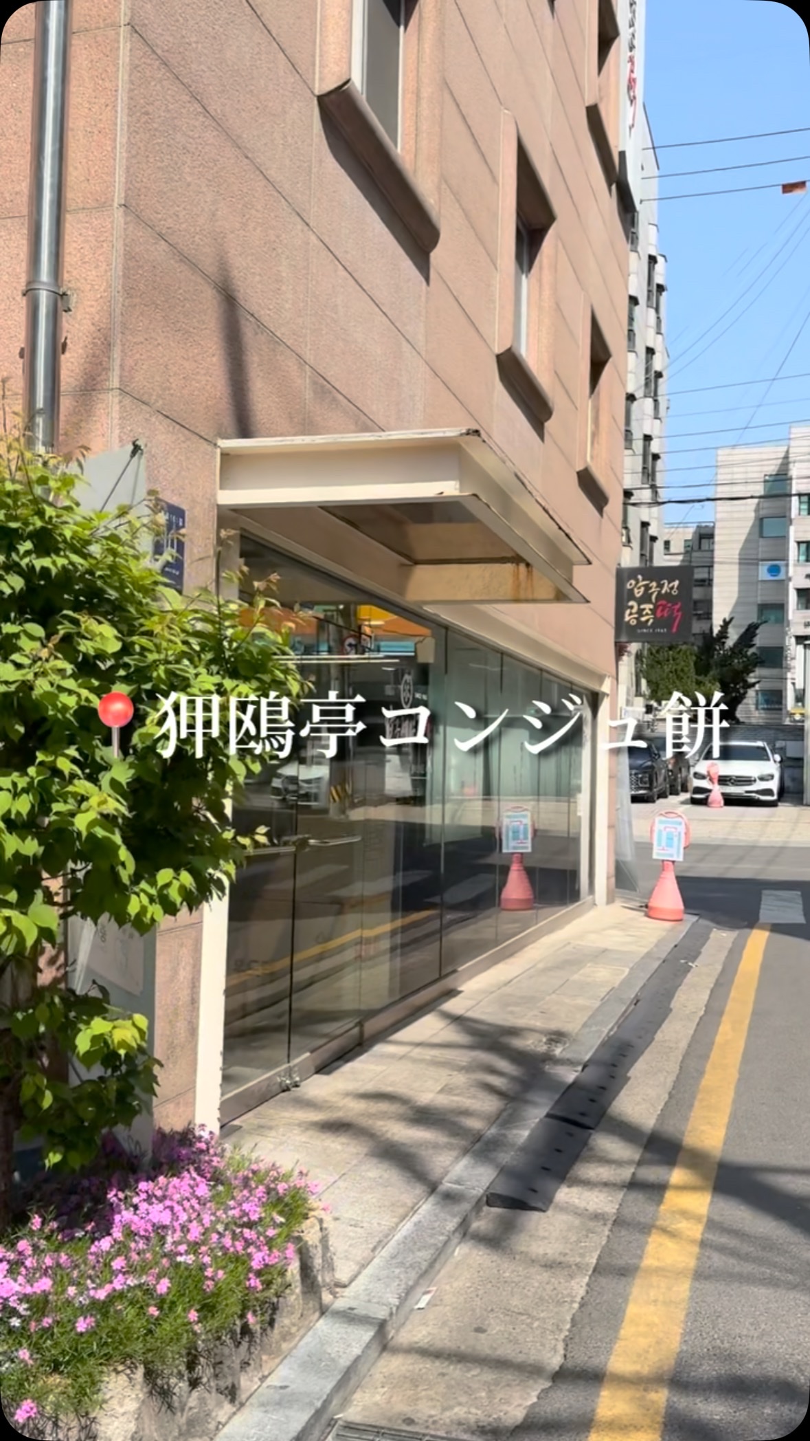 美容課金に韓国へ行ったら食べ物も楽しみたいところ！コスメもグルメも楽しみたい！！
단지タンジのお店、狎鴎亭コンジュ餅。テジョンにあるお店の分店が2000年に狎鴎亭コンジュ餅店としてOPENしたらしい。新沙から狎鴎亭の方にテクテク10分ちょっ