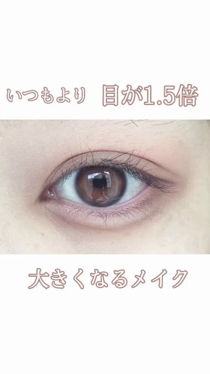 ワンショットアイパレット/CHICAY CHICO/アイシャドウパレットの人気ショート動画