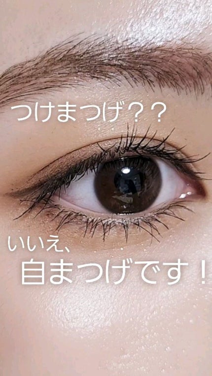 ピメル うそつきマスカラ/pdc/マスカラの人気ショート動画