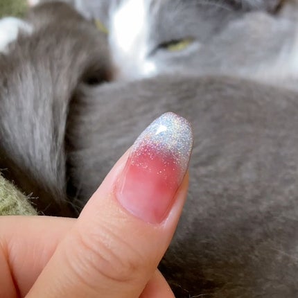 レインボーマグネットジェル/ネイル工房/ジェルネイルの人気ショート動画