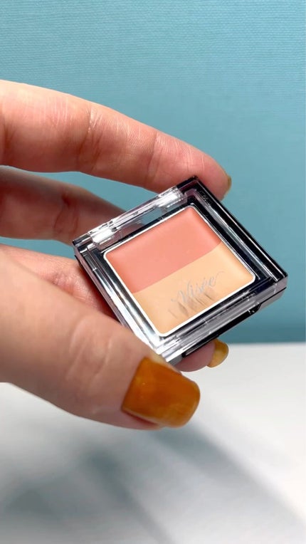 リシェ レッドトリック アイコンシーラー/Visée/パレットコンシーラーの人気ショート動画