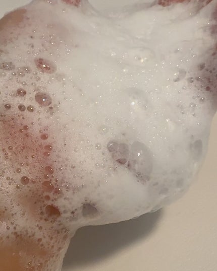 ラップアップシャンプー/トリートメント/Dr.Bio/市販シャンプーを使ったクチコミ(4枚目)