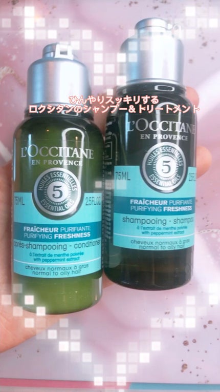 ファイブハーブス ピュアフレッシュネス シャンプー/コンディショナー/L'OCCITANE/市販シャンプーの人気ショート動画