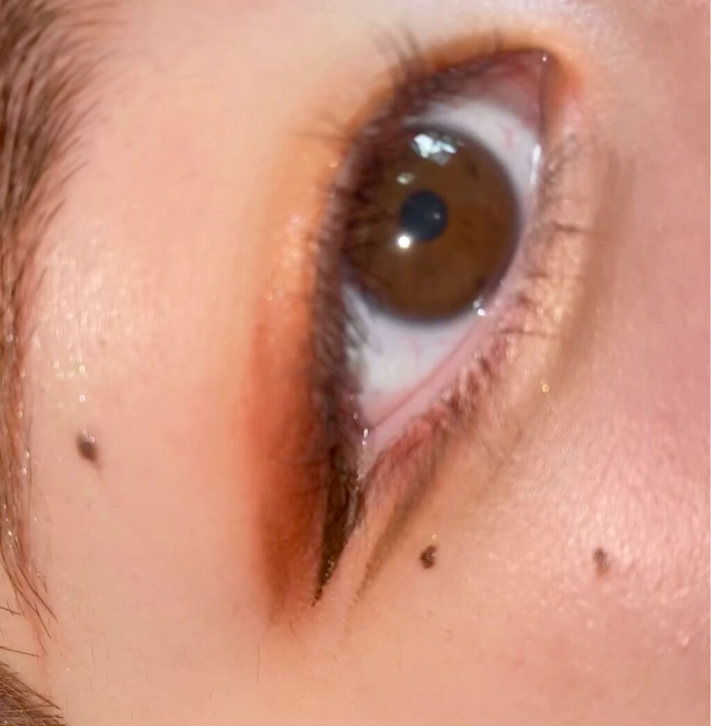 アリストアイシャドウパレット 9色/PEONYELF/アイシャドウパレットの動画クチコミ3つ目