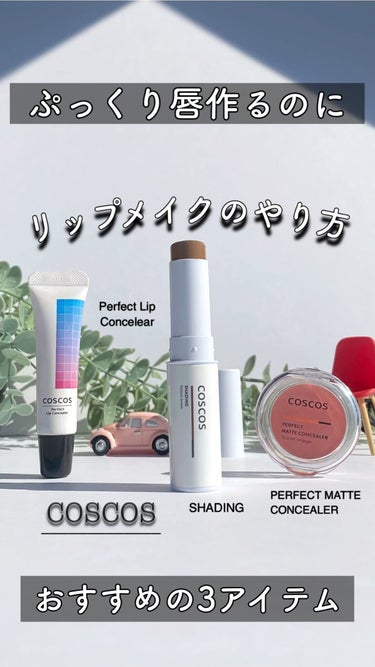 パーフェクトリップコンシーラー/COSCOS/クリームコンシーラーを使ったクチコミ（1枚目）