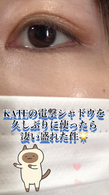 エレクトリックショックアイズ /KATE/アイシャドウパレットを使ったクチコミ(1枚目)