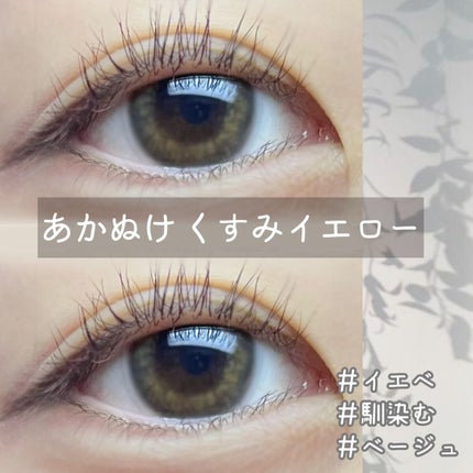 1DAY Refrear elebelle/Refrear/ワンデー(1DAY)カラコンの人気ショート動画