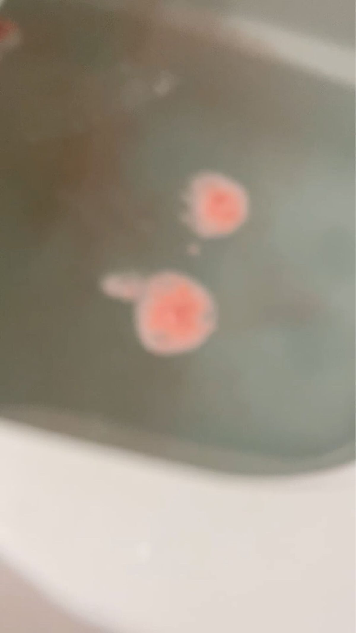 おしり探偵入浴剤/ノルコーポレーション/入浴剤の動画クチコミ1つ目