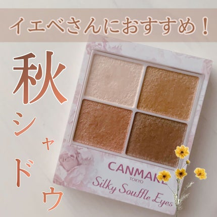 シルキースフレアイズ/キャンメイク/アイシャドウパレットの人気ショート動画