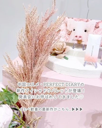 エクスプローラ12色 動物アイシャドウパレット/PERFECT DIARY/アイシャドウパレットを使ったクチコミ(2枚目)