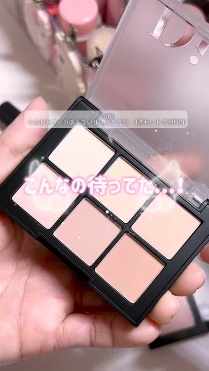 ブラーフィニシュブラッシャー/Dinto/パウダーチークの人気ショート動画