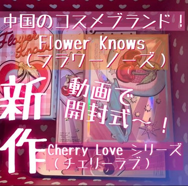  レトロマグネティック アイシャドウパレット/FlowerKnows/パウダーアイシャドウを使ったクチコミ（1枚目）