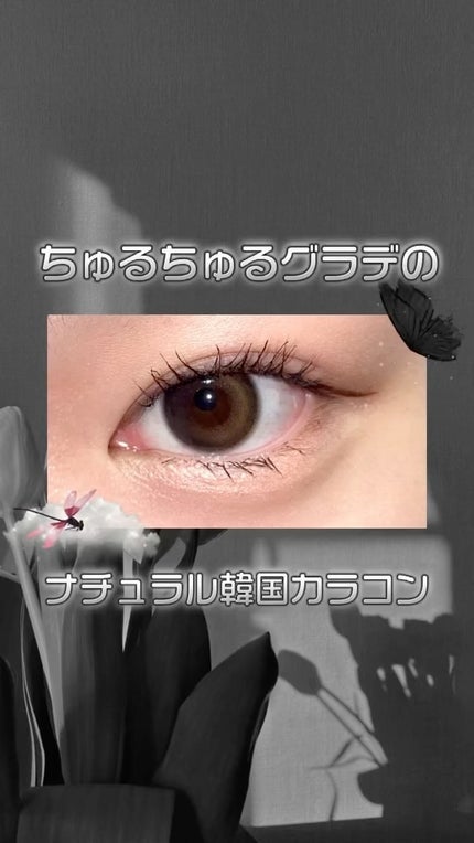 ノイシリーズ/LENSSIS/カラーコンタクトレンズの人気ショート動画