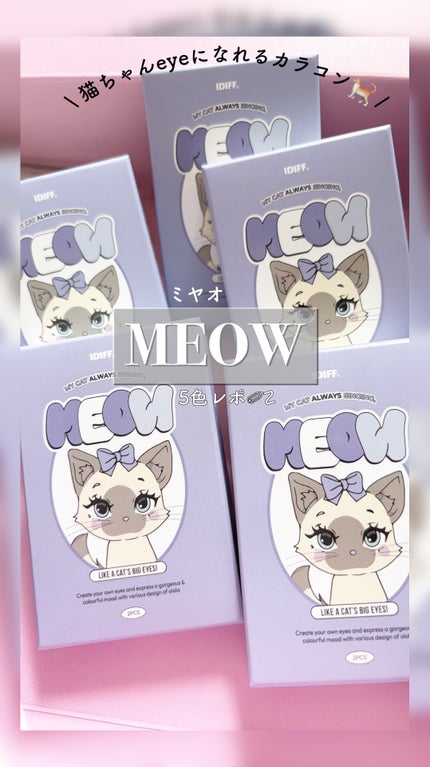 MEOW(ミヤオ) 1month/OLOLA/1ヶ月(1MONTH)カラコンの人気ショート動画