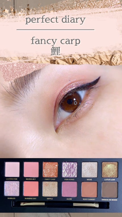 エクスプローラ12色 動物アイシャドウパレット/PERFECT DIARY/アイシャドウパレットの人気ショート動画