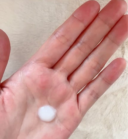 リペア ミルク/Le ment/ヘアミルクを使ったクチコミ(6枚目)