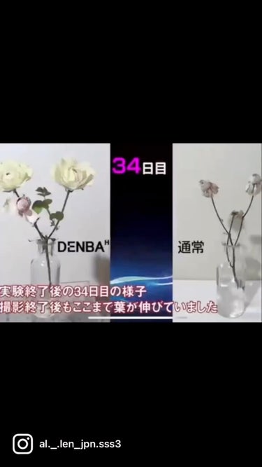binno/DENBA/美顔器・マッサージの動画クチコミ1つ目