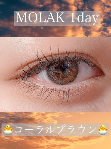 MOLAK 1day コーラルブラウン/MOLAK/ワンデー（１DAY）カラコンを使ったクチコミ（1枚目）