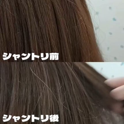 グロウプロテイン シャンプー/トリートメント/ulumee/市販シャンプーを使ったクチコミ(6枚目)