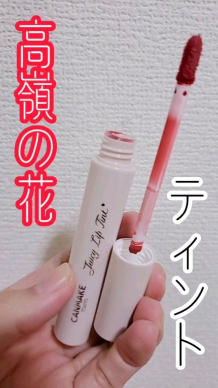 ジューシーリップティント/キャンメイク/口紅を使ったクチコミ(1枚目)