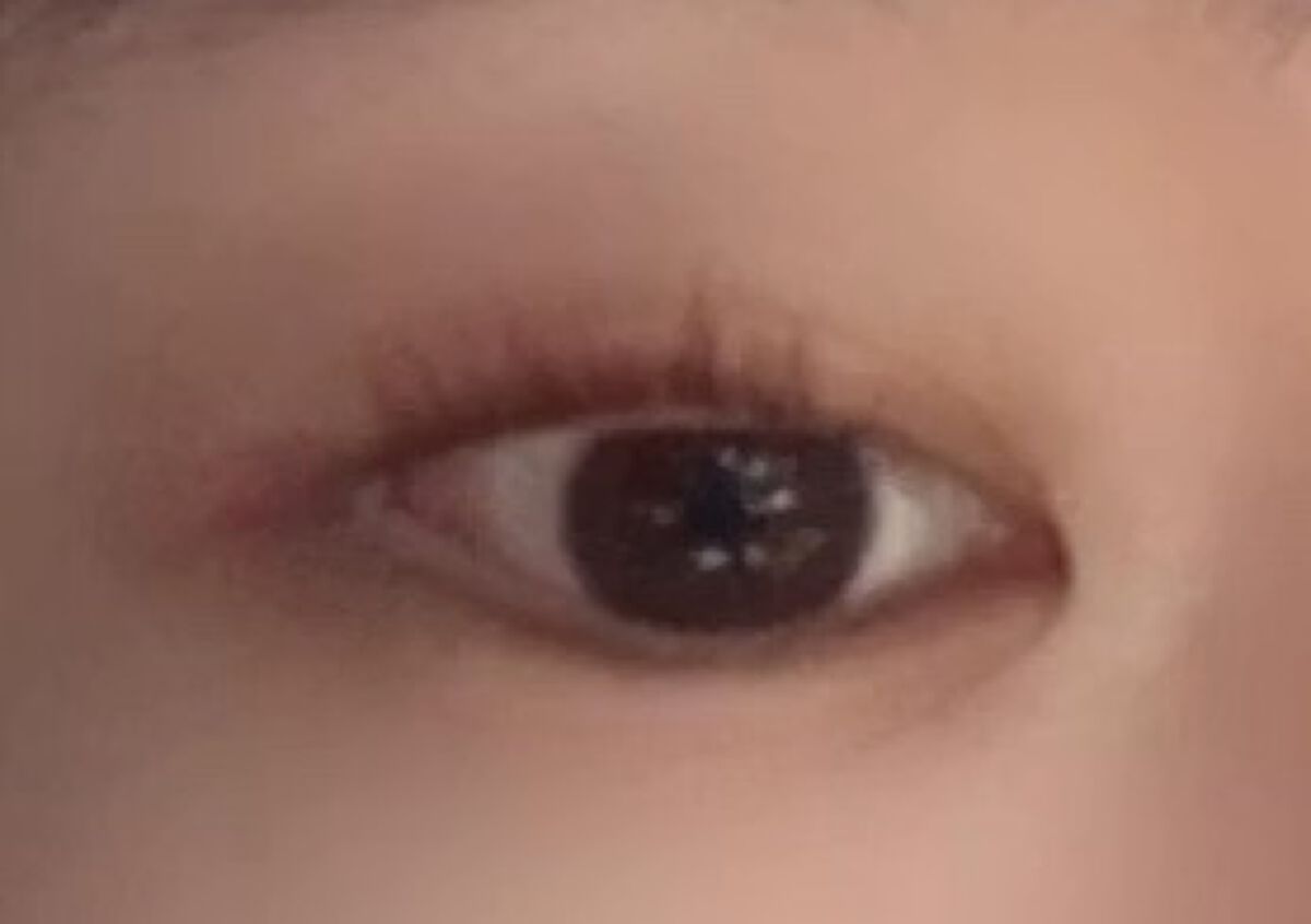 ムードアイシャドウパレット/GENE TOKYO/アイシャドウパレットを使ったクチコミ（1枚目）