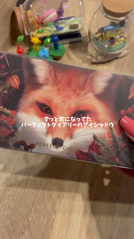 エクスプローラ12色 動物アイシャドウパレット/PERFECT DIARY/アイシャドウパレットの人気ショート動画