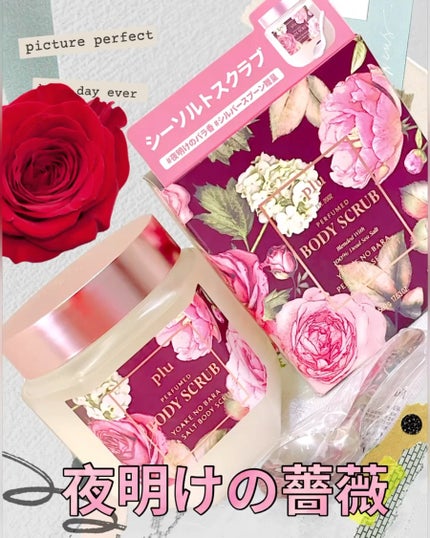 パフュームドシーソルトボディスクラブ 夜明けのバラ/plu/スクラブ・ゴマージュを使ったクチコミ(1枚目)