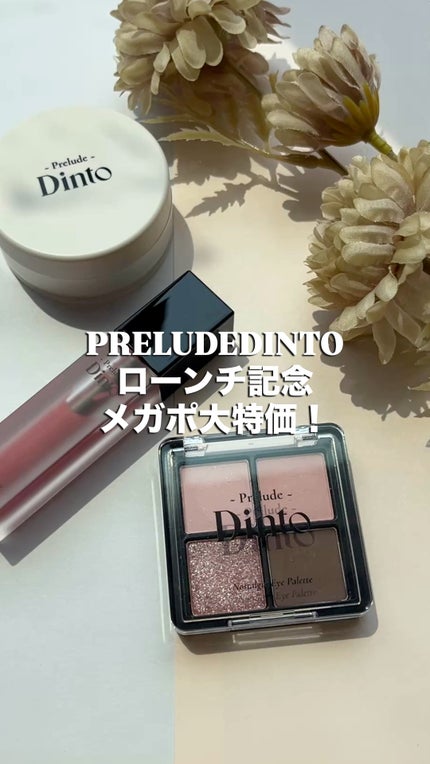 Prelude Dinto フェアリーダストルースパウダー /Dinto/ルースパウダーの人気ショート動画