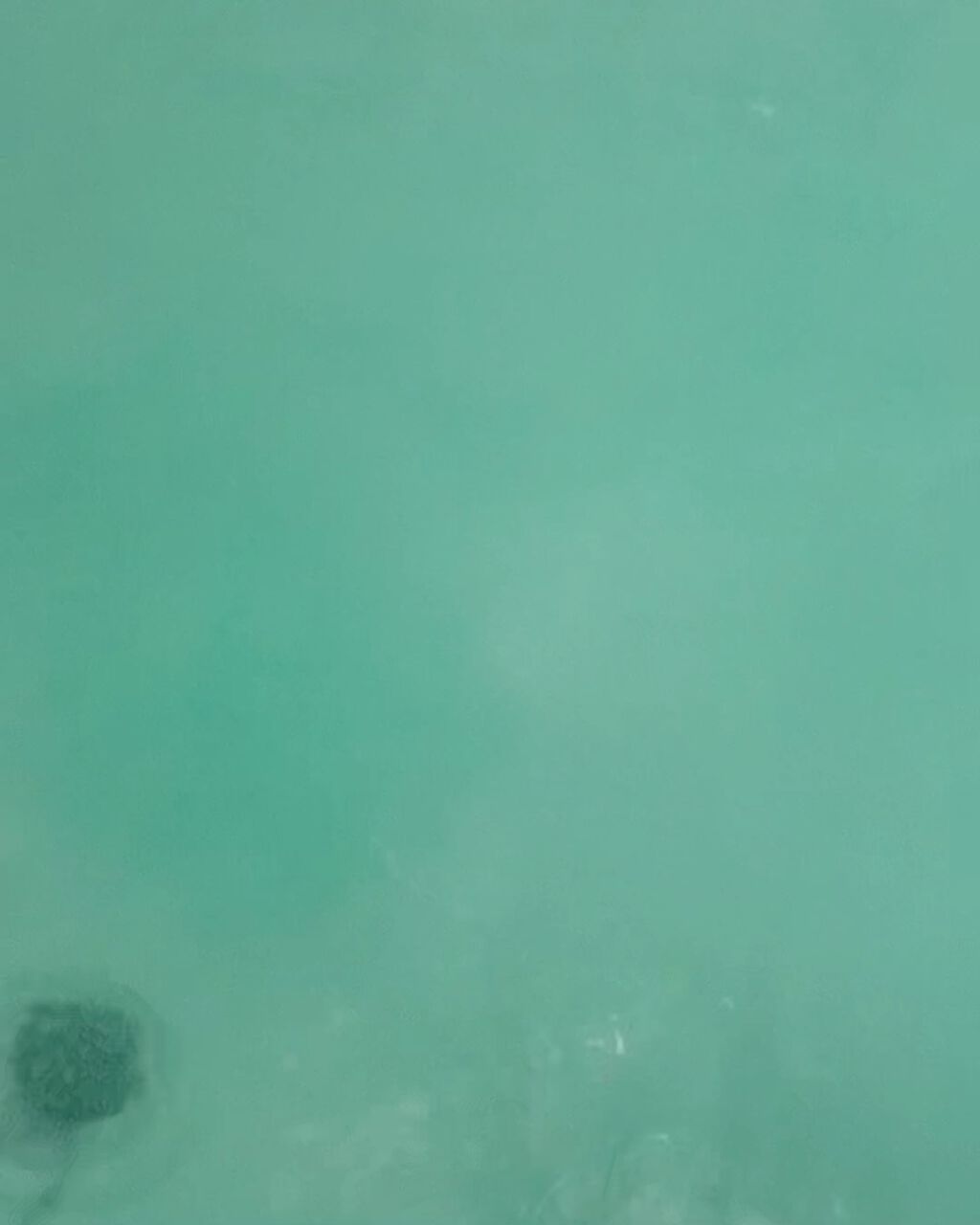 きき湯 ファインヒート リセットナイト/きき湯/炭酸系入浴剤の動画クチコミ2つ目