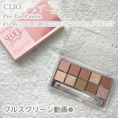 プロ アイ パレット/CLIO/アイシャドウパレットを使ったクチコミ（1枚目）